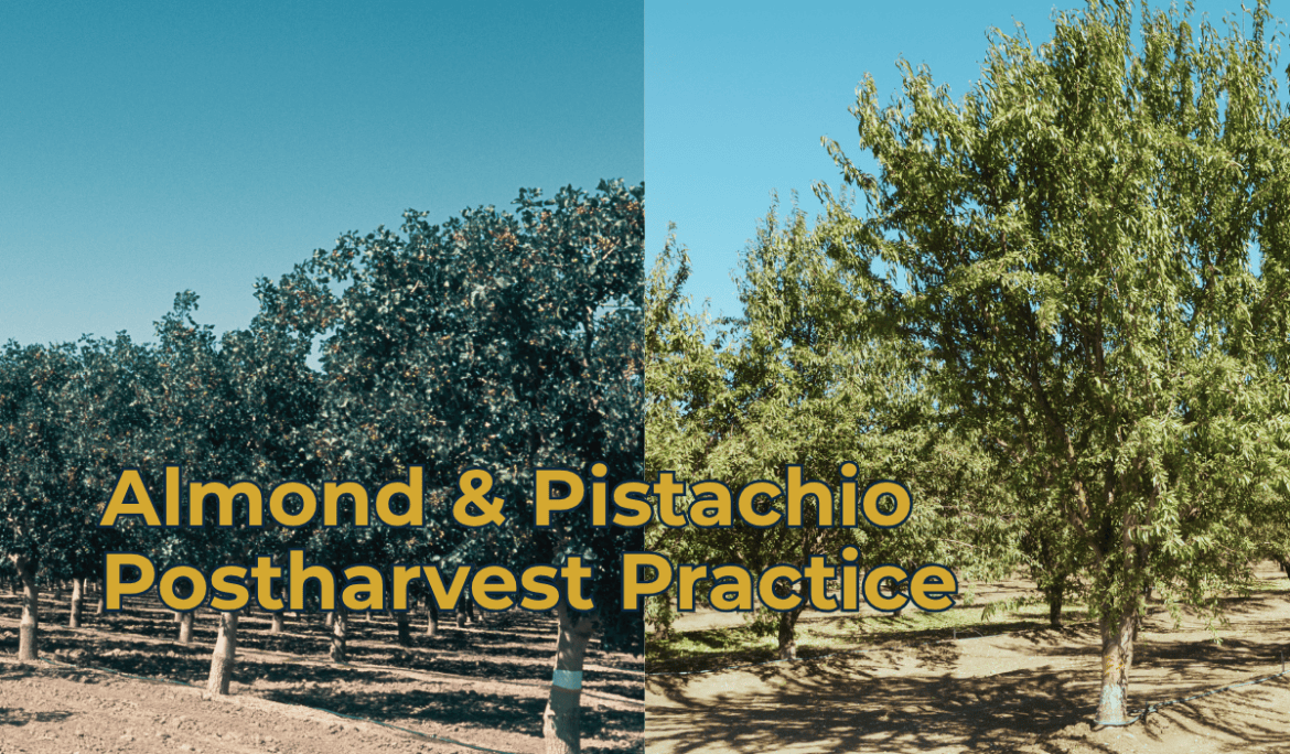 Pistachio and Almond Postharvest Practices